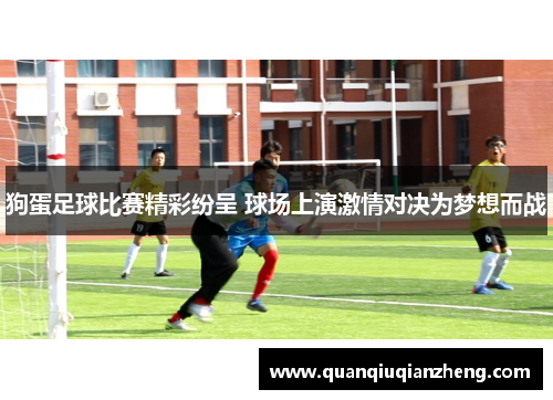 狗蛋足球比赛精彩纷呈 球场上演激情对决为梦想而战