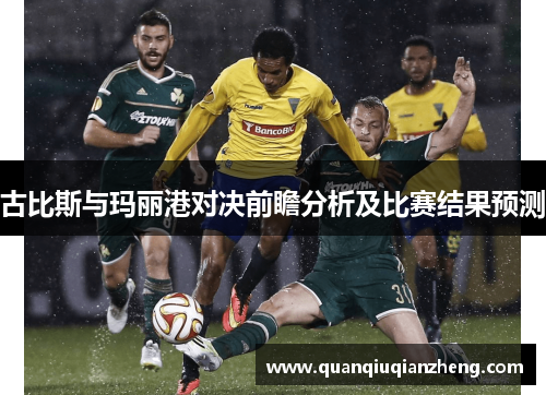 古比斯与玛丽港对决前瞻分析及比赛结果预测