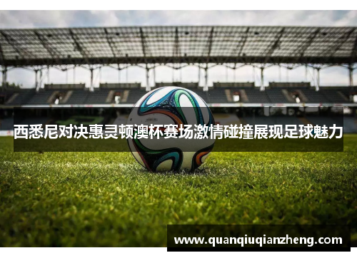 西悉尼对决惠灵顿澳杯赛场激情碰撞展现足球魅力